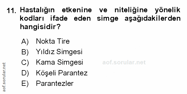Soru 11