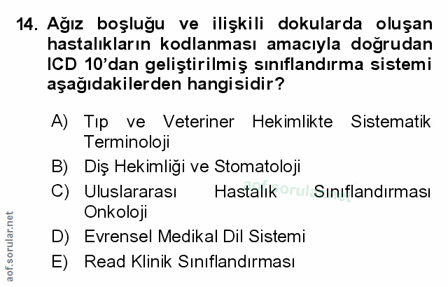 Soru 14