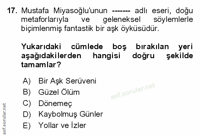Soru 17
