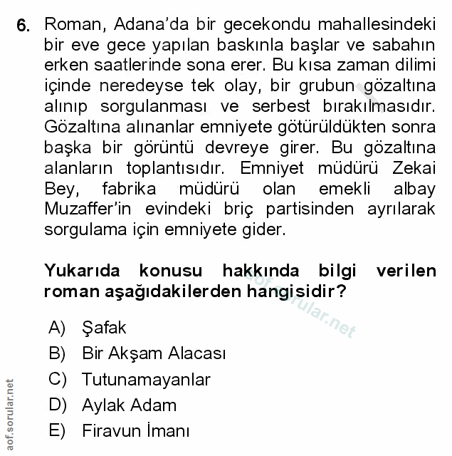 Soru 6