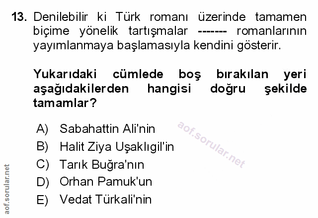 Soru 13