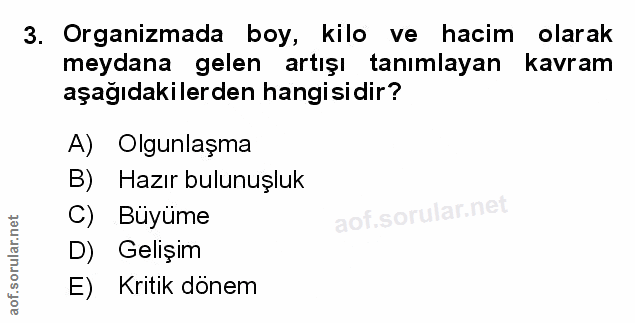 Soru 3