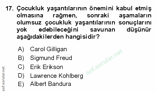 Soru 17