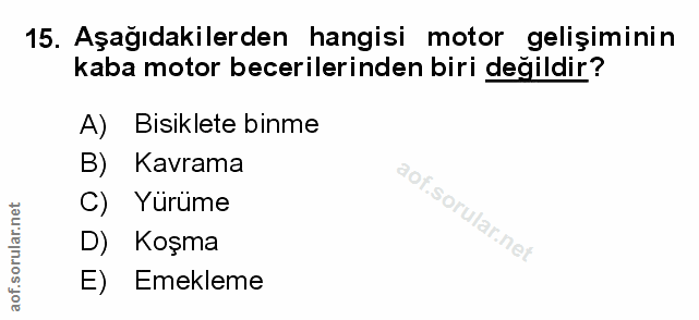 Soru 15