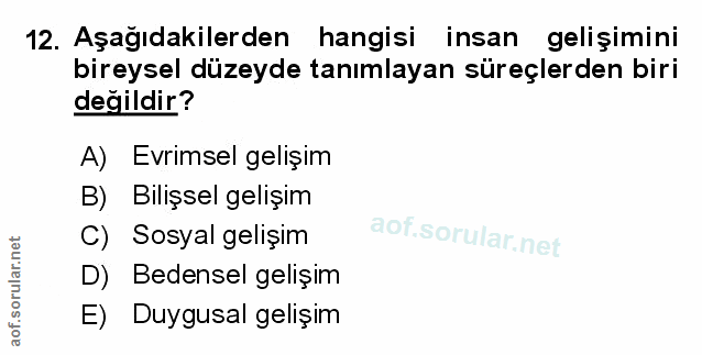 Soru 12