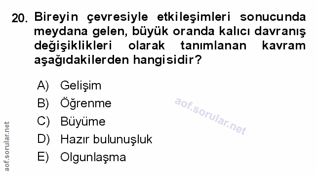 Soru 20