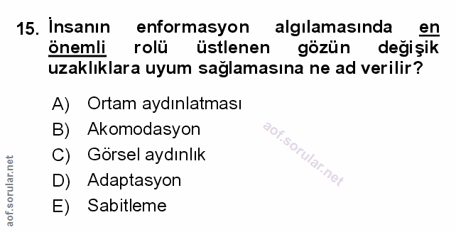 Soru 15