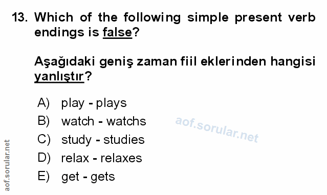 Soru 13