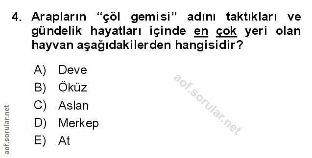 Soru 4
