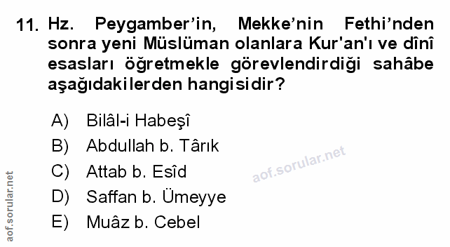 Soru 11