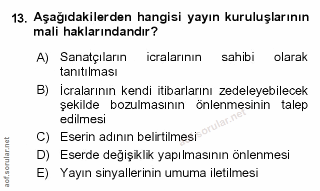 Soru 13