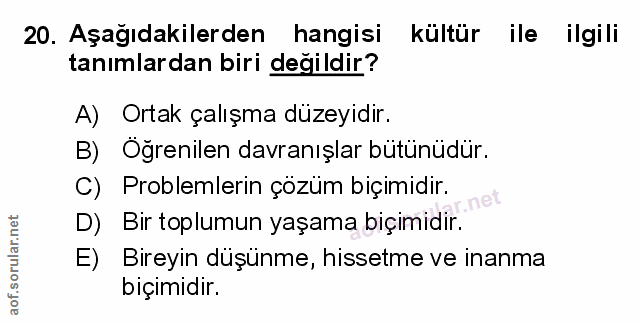 Soru 20