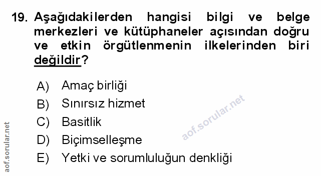 Soru 19