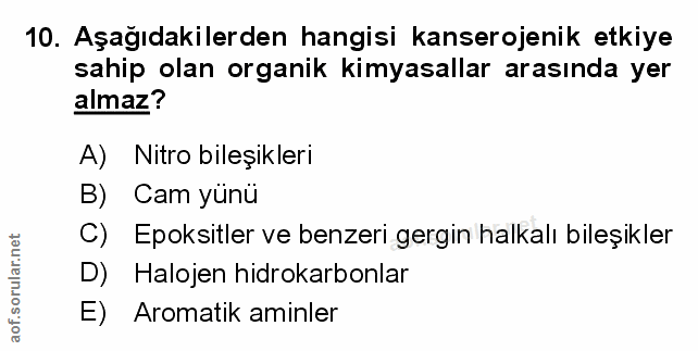 Soru 10