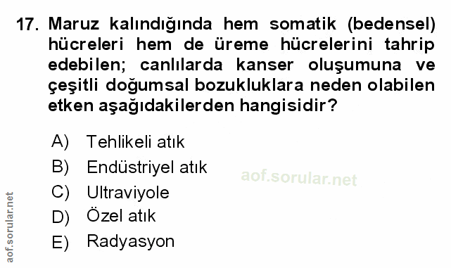 Soru 17