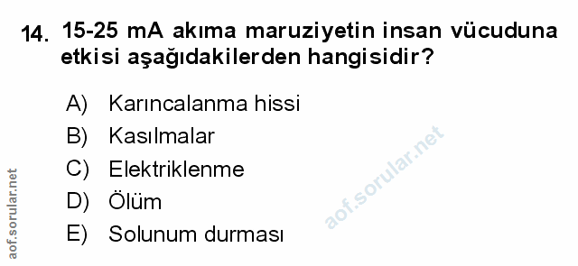 Soru 14