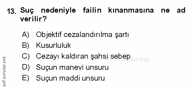 Soru 13