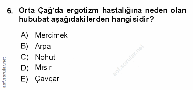 Soru 6