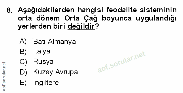 Soru 8