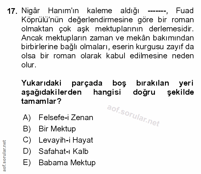 Soru 17
