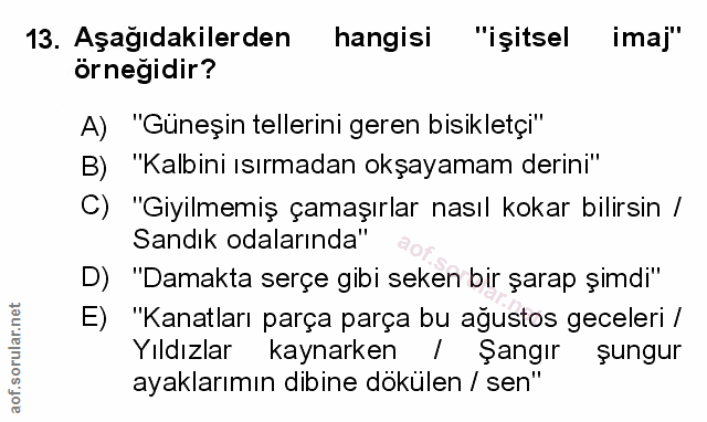 Soru 13