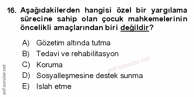 Soru 16