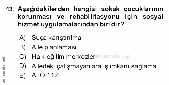 Soru 13