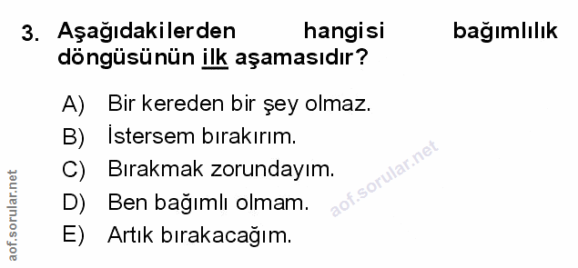 Soru 3