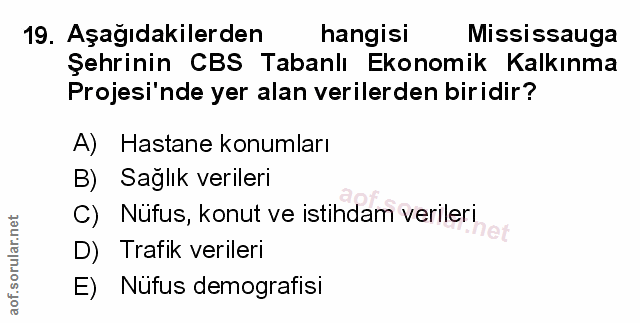 Soru 19