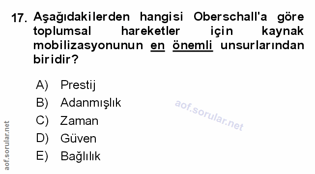 Soru 17