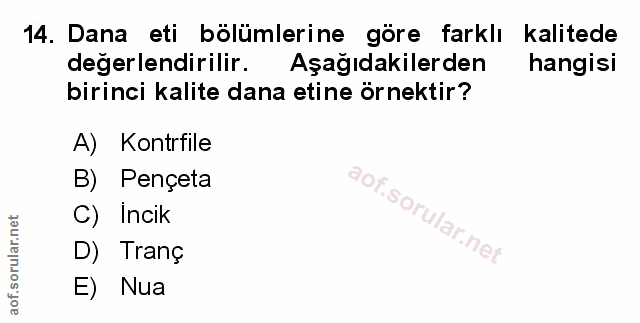 Soru 14