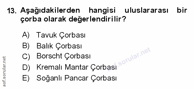Soru 13