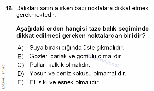 Soru 18