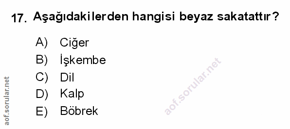Soru 17