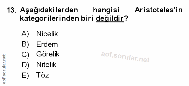 Soru 13