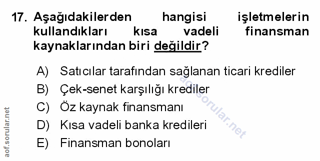Soru 17