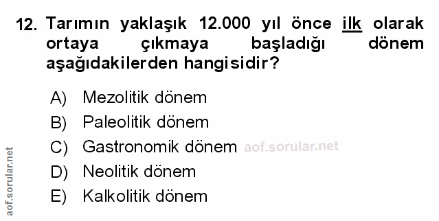 Soru 12