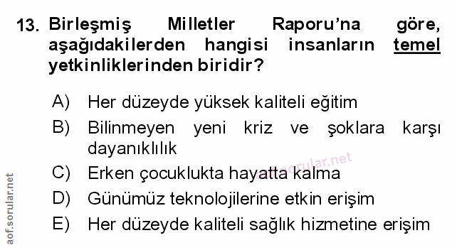 Soru 13