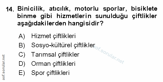 Soru 14