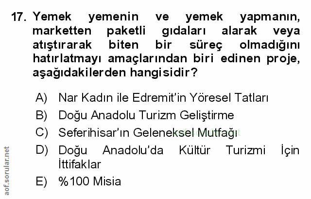 Soru 17
