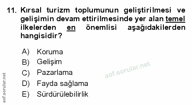 Soru 11