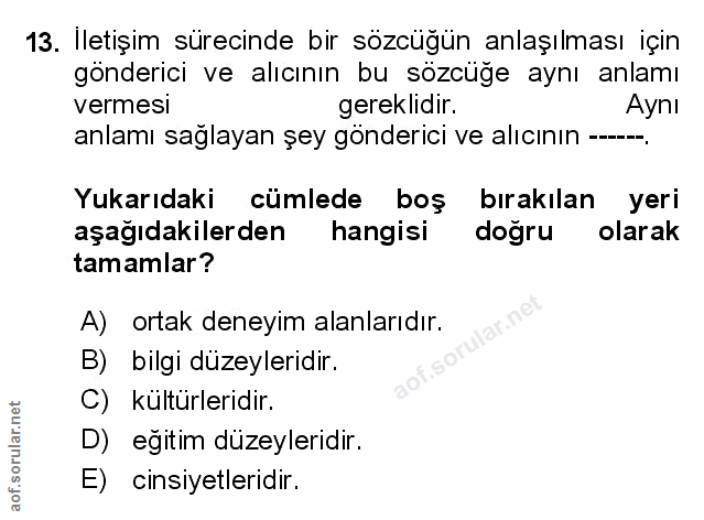 Soru 13