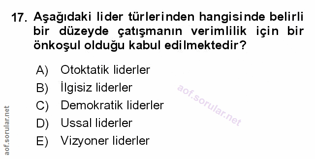 Soru 17