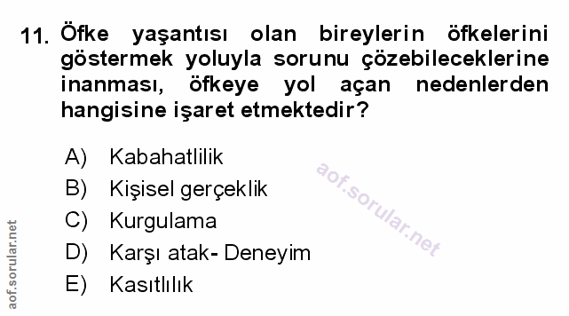Soru 11