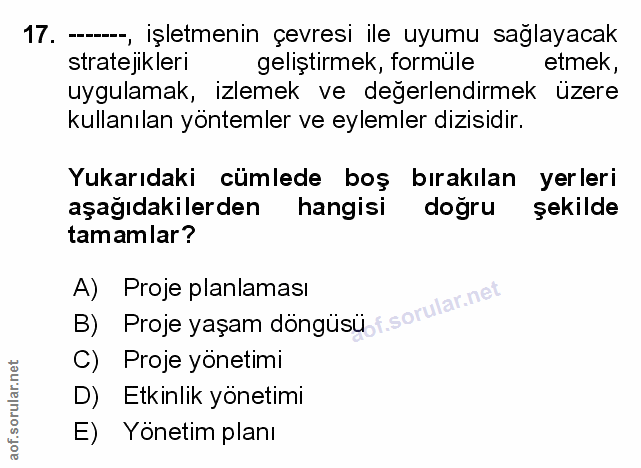Soru 17