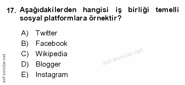 Soru 17