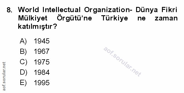 Soru 8