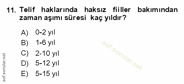 Soru 11