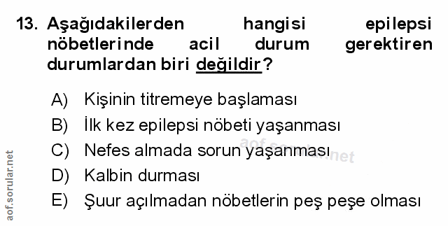 Soru 13