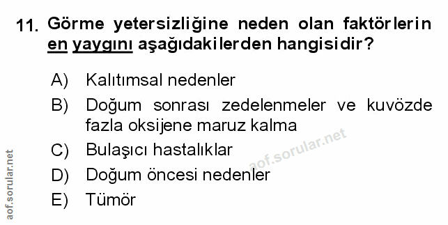 Soru 11